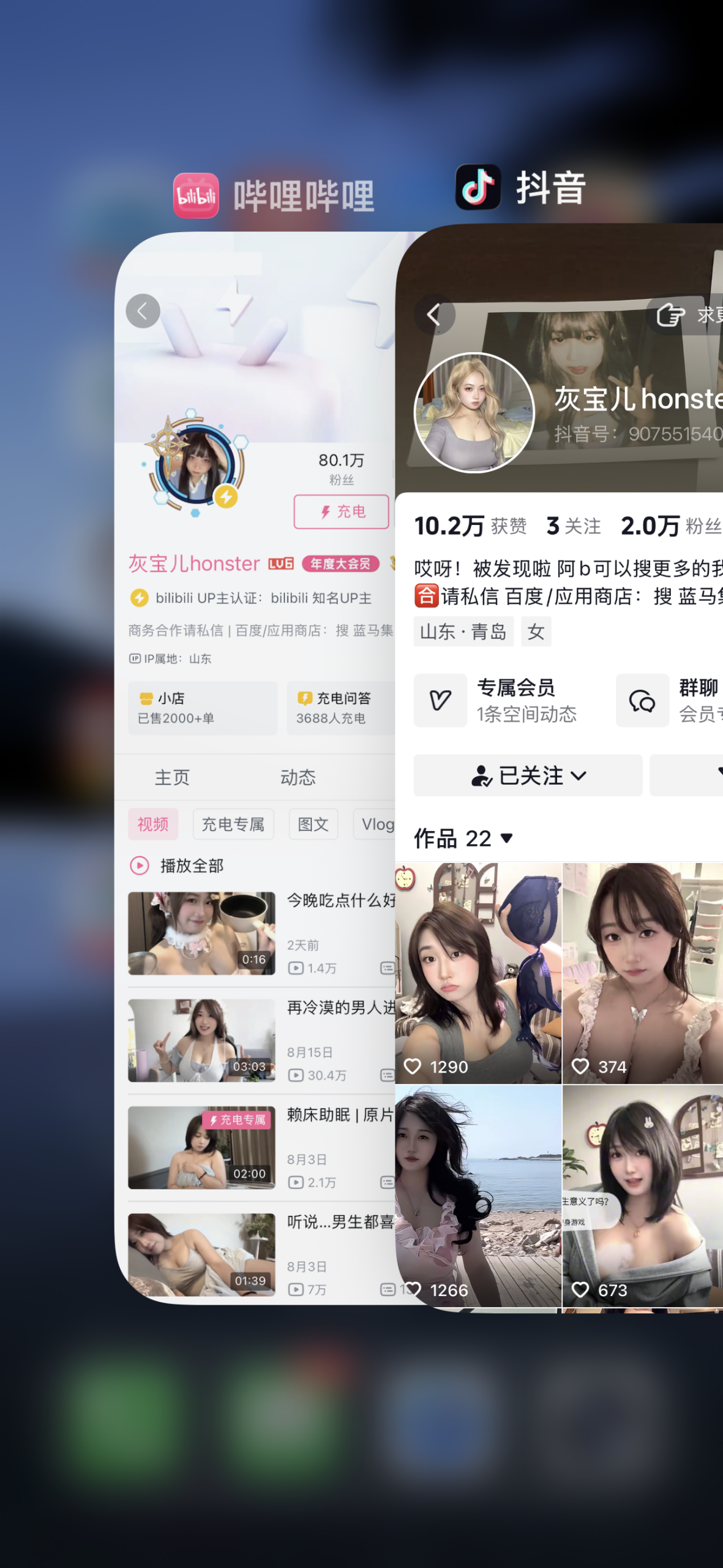 灰宝儿合集