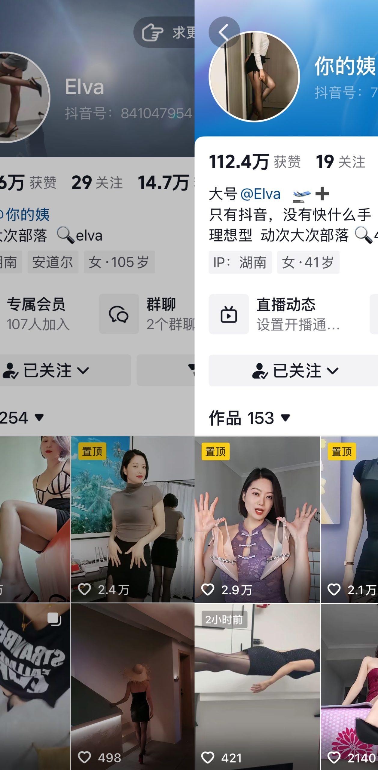 elva合集